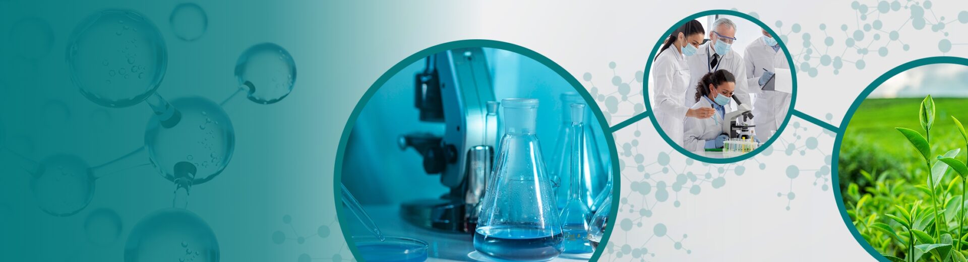 V2 - Sectors - FINAL V2 - Sectors - FINAL